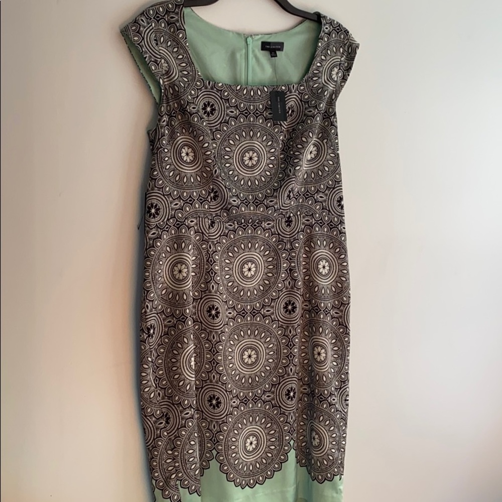 The Limited spring cocktail business work dress